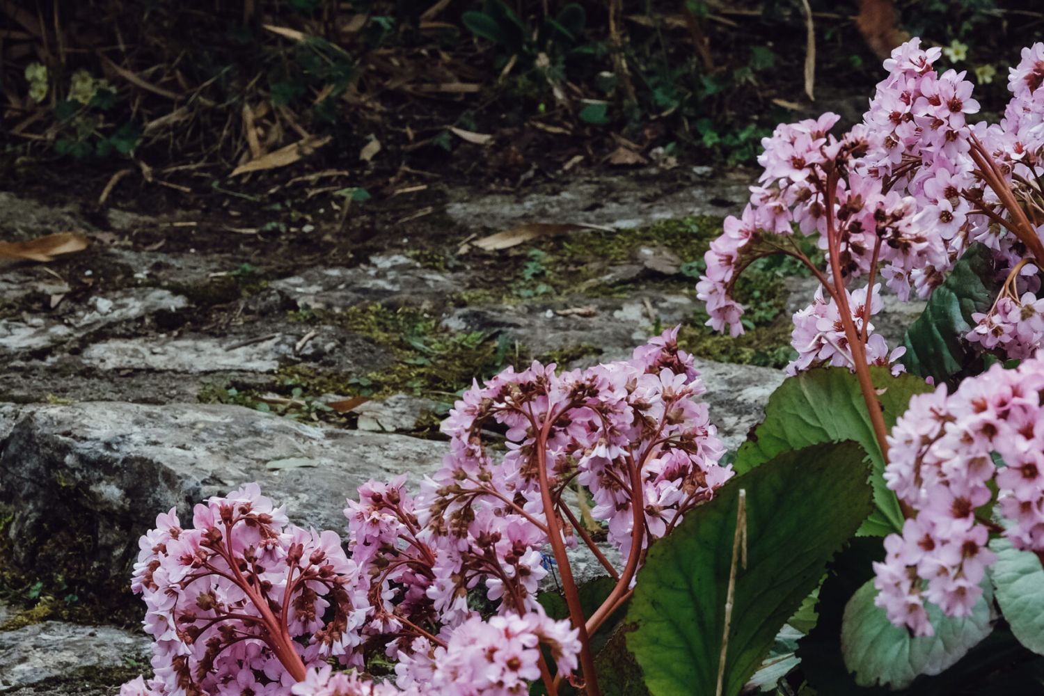 Izdelek brez naslova (2)