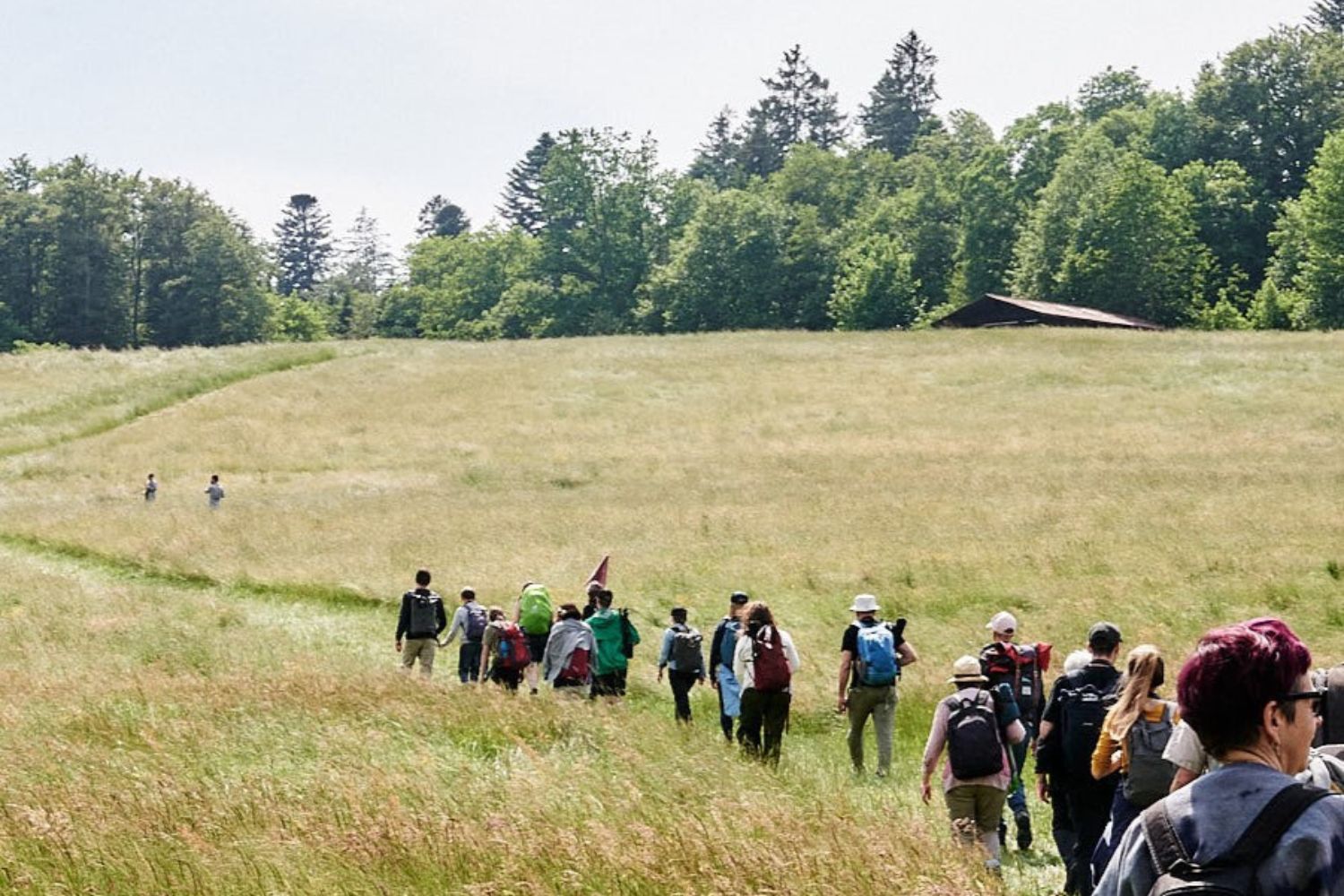 Izdelek brez naslova (34)