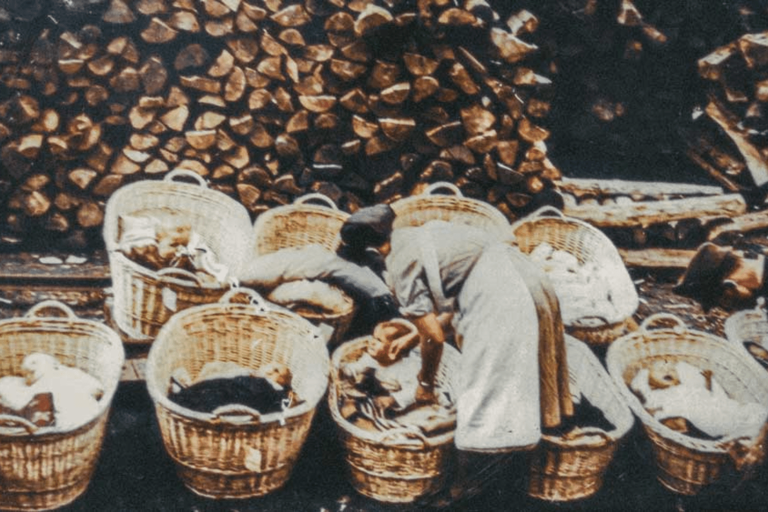 Izdelek brez naslova (57)