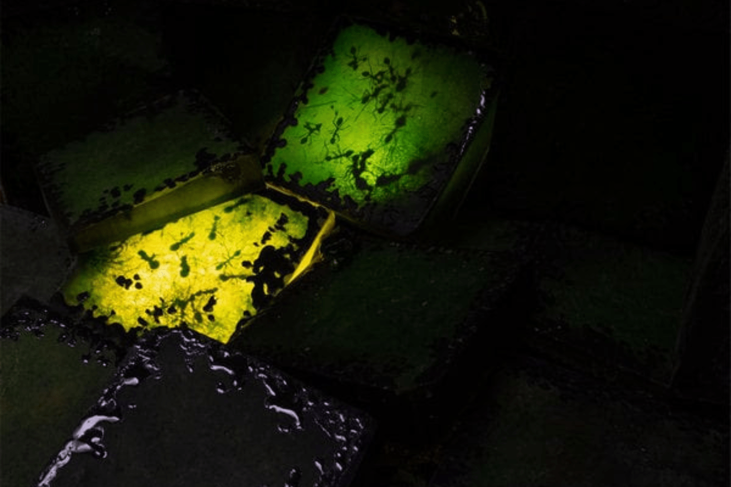 Izdelek brez naslova (78)