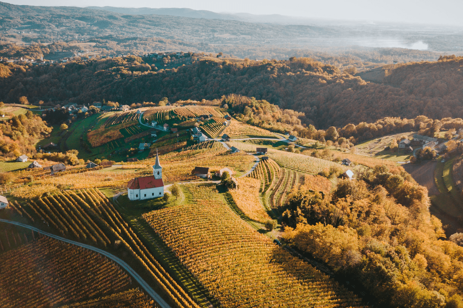 Izdelek brez naslova – 2025-09-08T172402.720